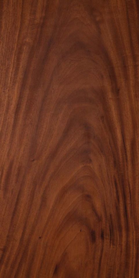 BOLIVIAN WALNUT