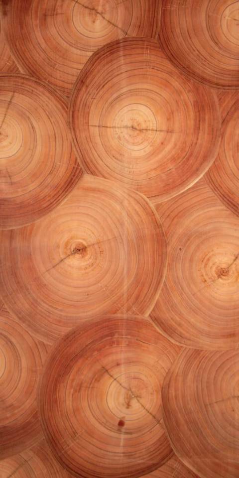 BUTT CUT