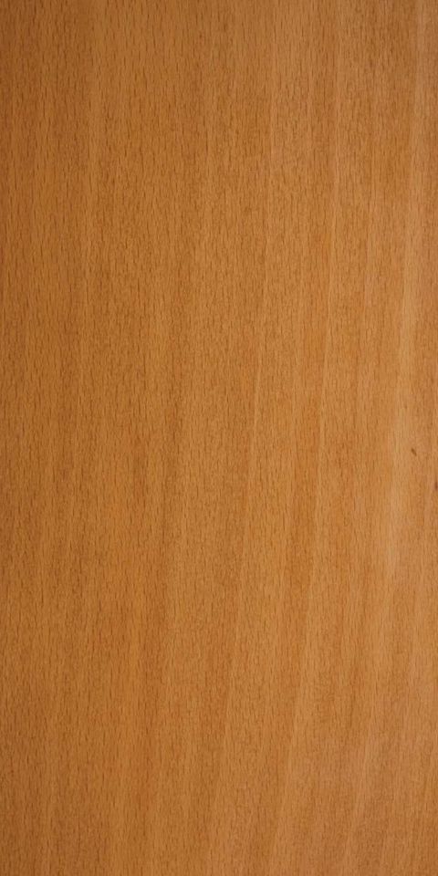 EUROPEAN STEAM BEECH