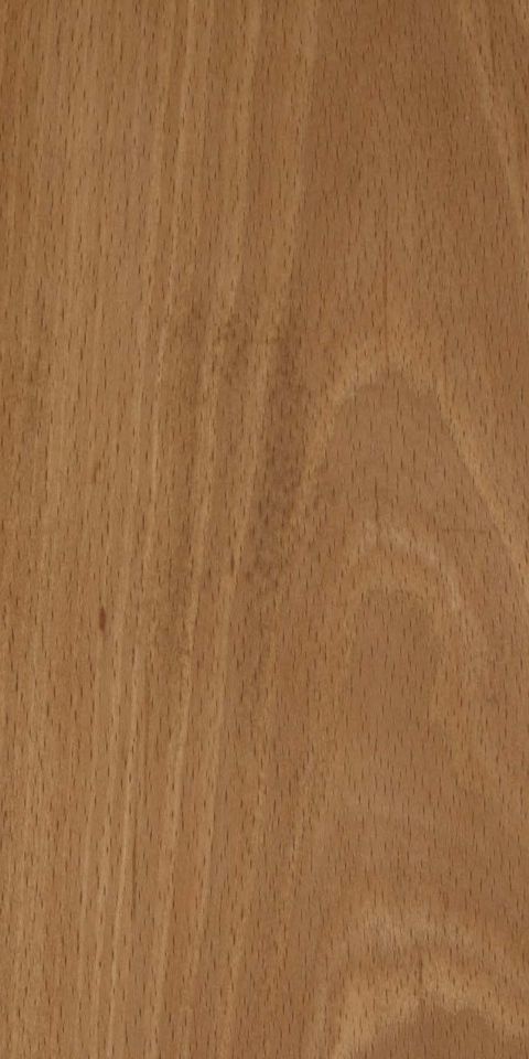 EUROPEAN WHITE BEECH