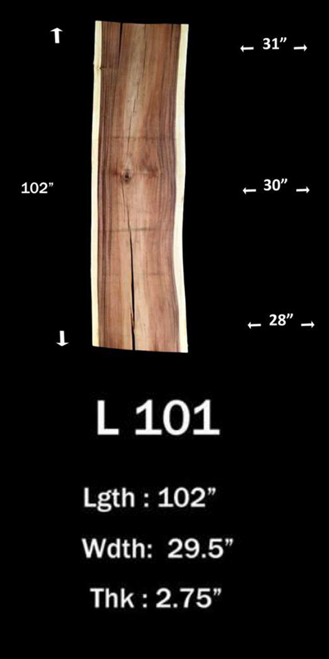 L101