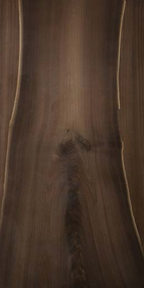 FUMED PERSIAN WALNUT LIVE TREE