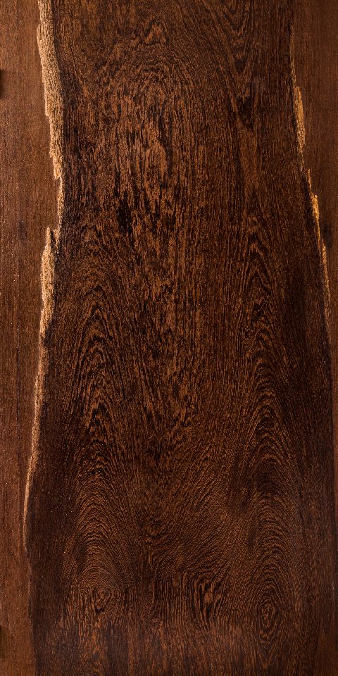WENGE LIVE TREE