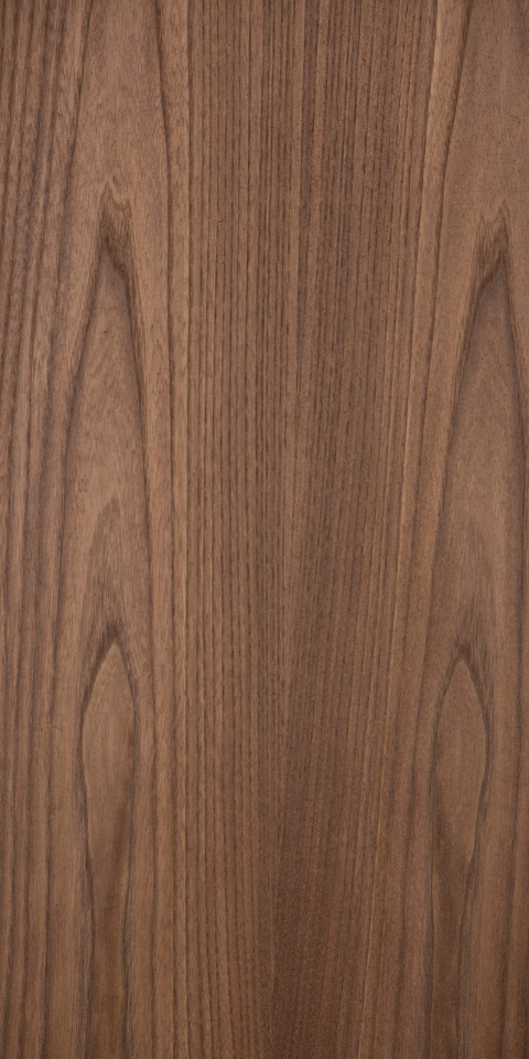 CHESTNUT EARTH WALNUT