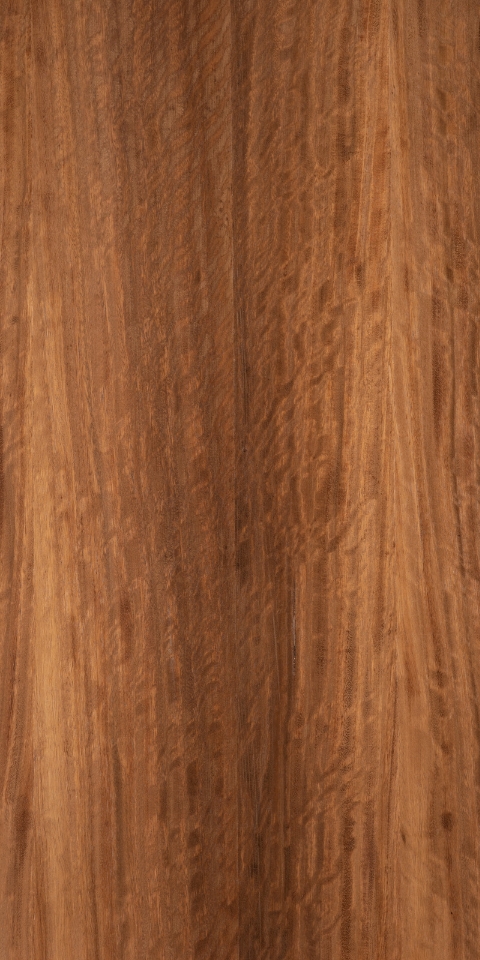 FUMED RED EUCALYPTUS FIGURED