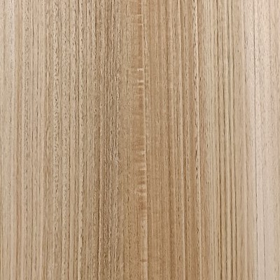 eucalyptus light fig