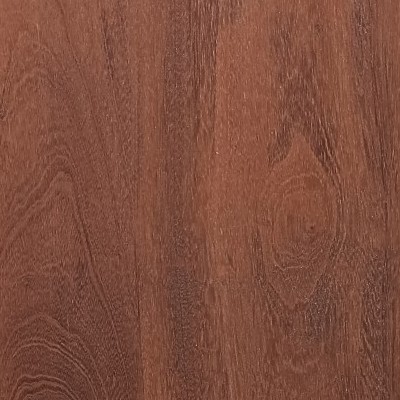 fumED goncalo alves