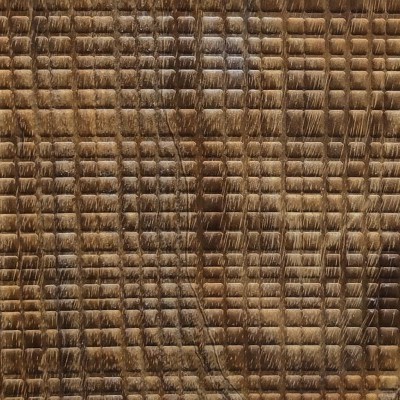 TERRA FUM PERSIAN WALNUT LIVE TREE