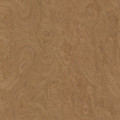 10.07 ALPI  WALNUT BURL