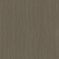 18.58 ALPI String Khaki