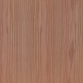 am. elm