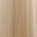 eucalyptus light fig