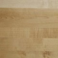 Thermo Birch Light