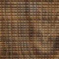 TERRA FUM PERSIAN WALNUT LIVE TREE