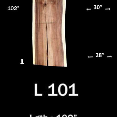 L101