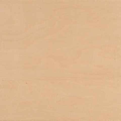 SYCAMORE IVORY